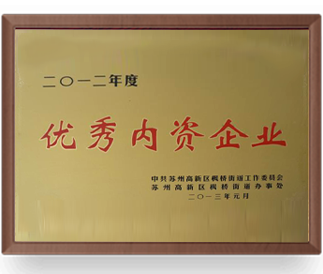 優(yōu)秀內資企業(yè)
